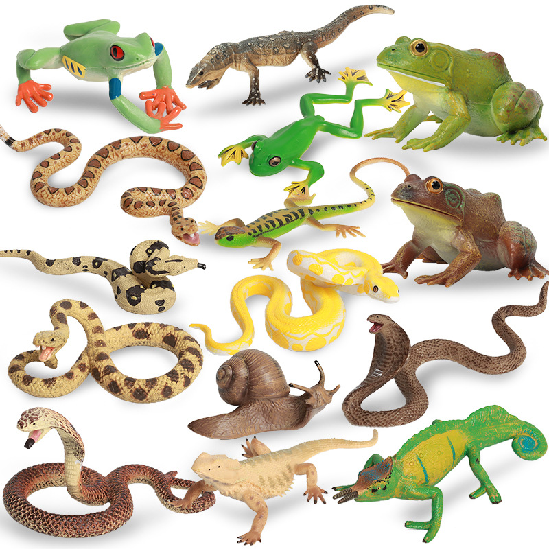 儿童玩具仿真爬行动物模型摆件青蛙蜥蜴眼镜蛇响尾蛇大蟒蛇