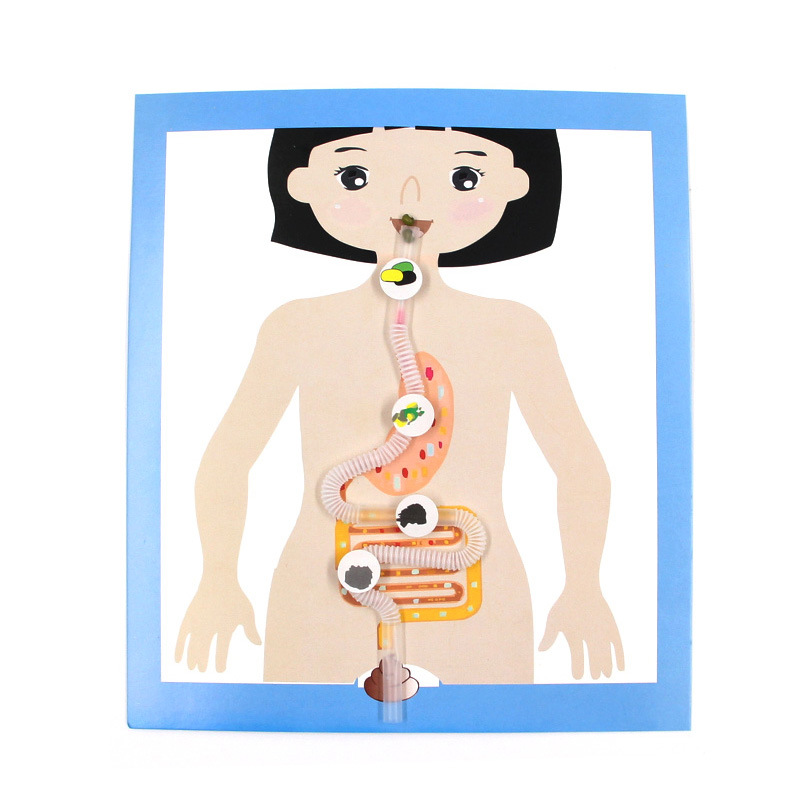 Ciencia pequeño experimento al por mayor vapor Escuela Primaria estudiante juguetes educativos ciencia y educación material hecho a mano paquete DIY Tecnología pequeña producción