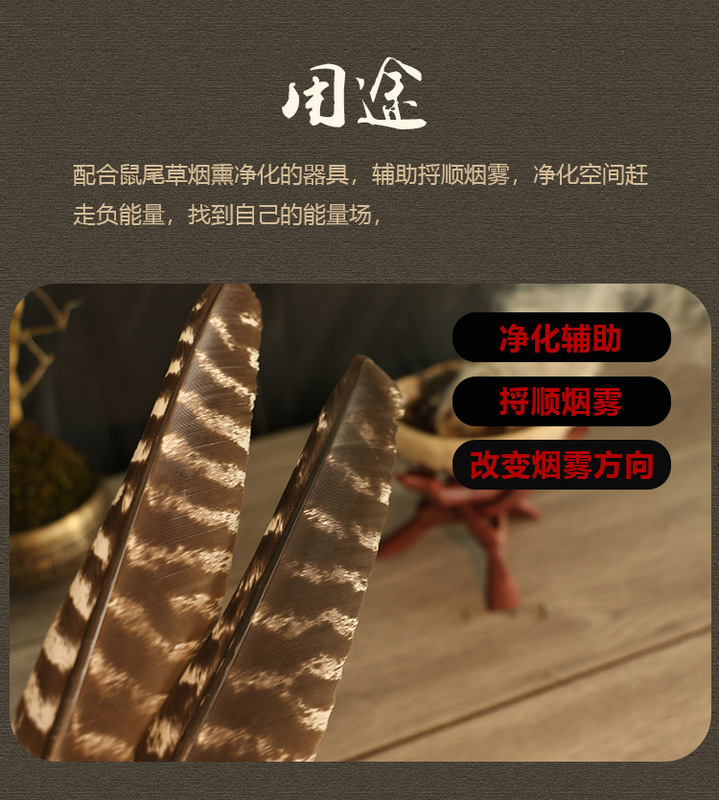 美国加州黑火鸡羽毛白鼠尾草净化引导羽毛风元素祭坛仪式圣品 图 3