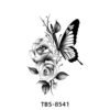 TBS-8541