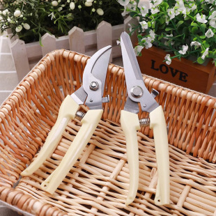 Household Gardening Scissors, Fruit Tree Pruning Branches, Floral Branch Scissors, Garden Tools, Flower Shears, Pruning Shears