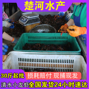 ��ˮС���r�r��С���r���l����������r�������l���ò��^�����