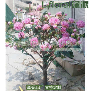 ����ĵ�������҃����b��̈���������S�t��������÷����