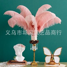 �F؛�廨�b���ë�r�Bë���U�r�B��ë50-55cm��ɫ��ë