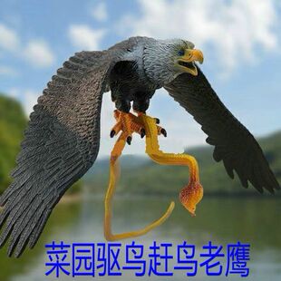 �s�B��B���������̨�@�B������B������B��ģ�ͼ��ˇ�С�B�õ�