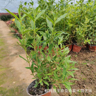 ���~�\��ͥԺ�G����N�t�����\����������\���������\����������