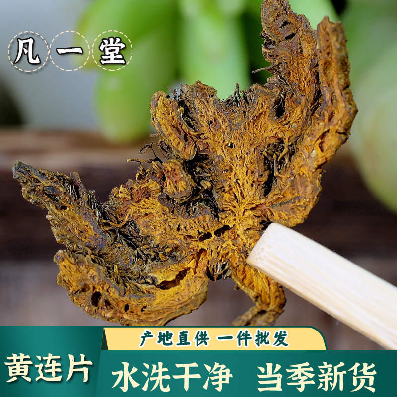 【凡一堂】道地选材自然晾晒黄连 单支黄连川连川黄莲片根 黄连粉