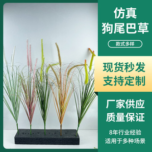 ins�L�������^��β�ͲݾӼҿ͏d�廨�b���������ٻ��쾰��β��