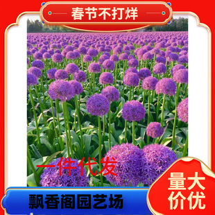 һ�����l������g/�M�ڴ��[�N��-��ʹ�������Ե����ͺ��������