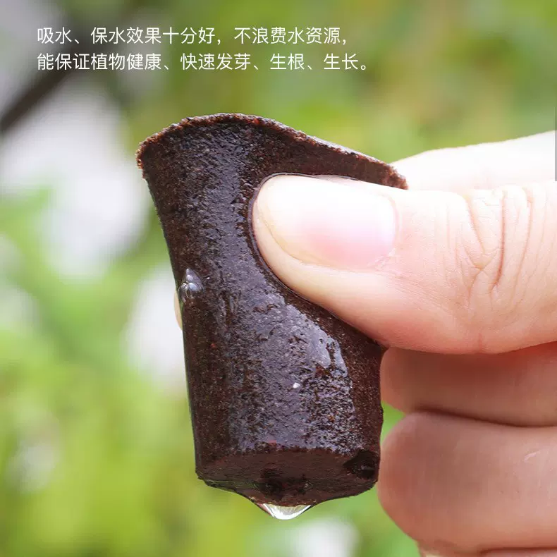 跨境无土栽培育苗基质营养块生物泥炭绵育苗扦插种植块海绵水培块