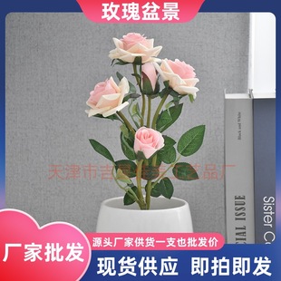 ����õ�廨 õ���辰 ���� �S�����l���N���滨 �ӼҔ[ٻ�