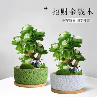 ���Xֲ�����lؔ���Ϙ���ؔ���ԾGֲľ�Ȼ����k���������辰�[��
