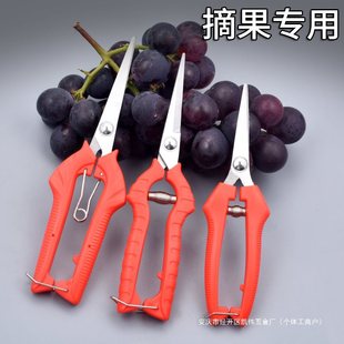 Fruit Picking Shears, Pruning Shears, Garden Fruit Picking Shears, Grape Pruning Shears, Vegetable and Fruit Picking Shears