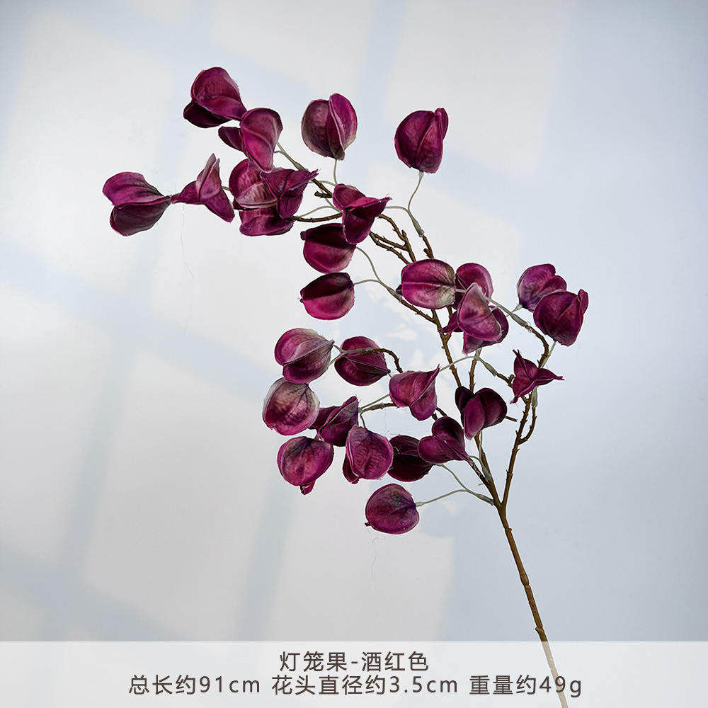 K-lantern fruit-burgundy