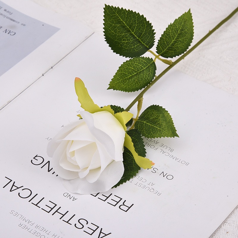 설산 장미 (눈처럼 흰색)