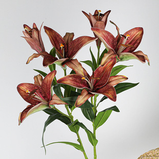 ���ش��ָ���ˮ�ٺϿ͏d�ҾӔ[������ٻ������b羳