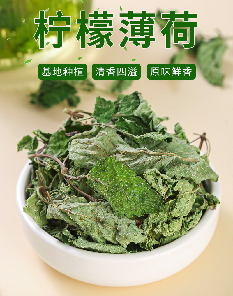 Mint Leaf Tea (Mentha haplocalyx) — Dried Food-Herb Mint for Cold Brew & Daily Infusions key features