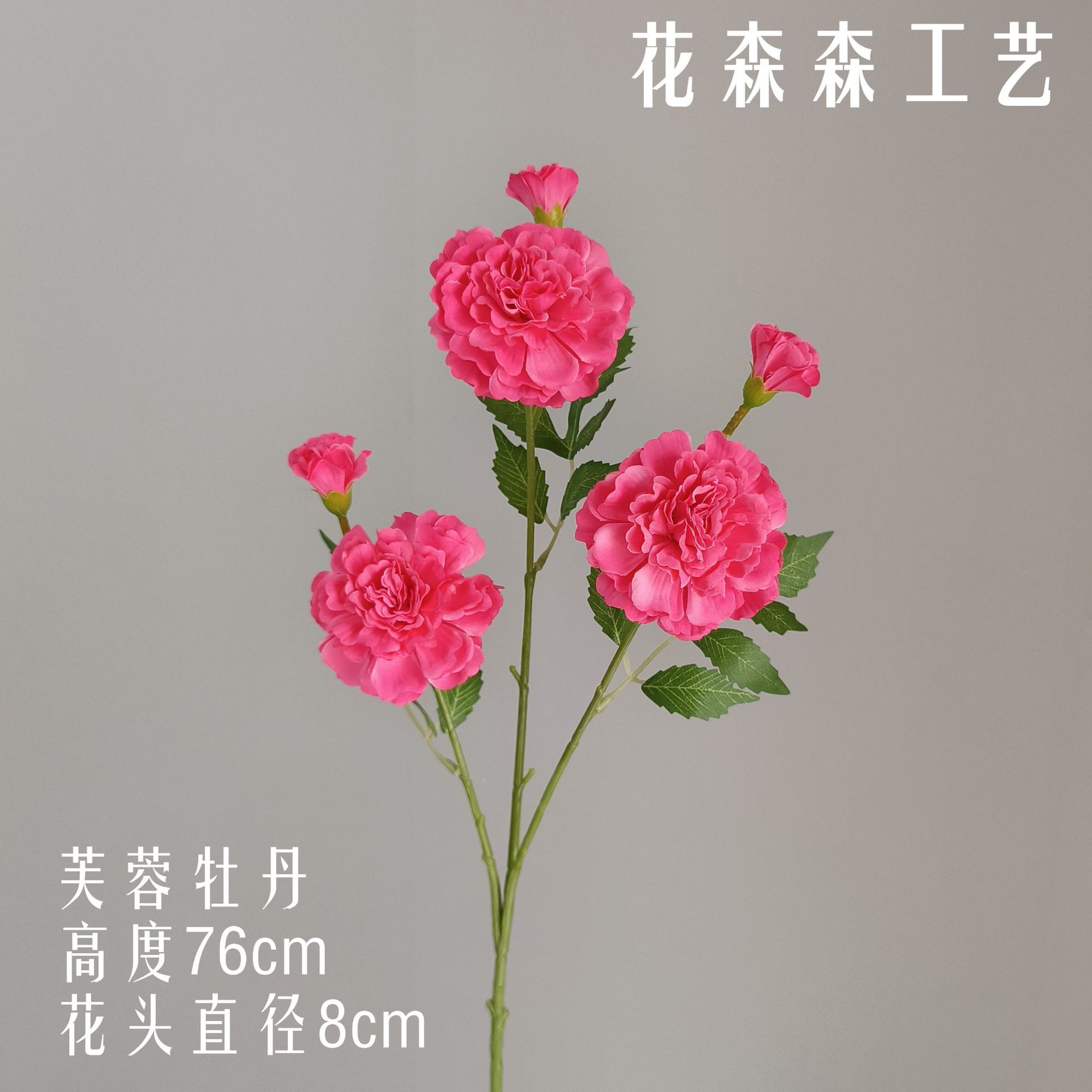 6 히비스커스 모란 151041