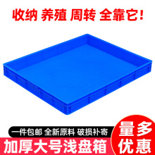 ���Ϻ������D���L���Μ\�P���z���P������ռ{���S�۵����x�Bֳ�P