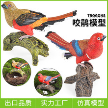 �羳���ķ��������߄���ģ��ҧ�N�t�^ҧ�N�B�ͯ�J֪�ƽ̔[��