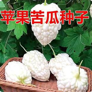 ���O����ϷN�Ӱ�ɫ��ϷN������߮a���ﲥ�߲�ͥԺ�̨�Nֲ
