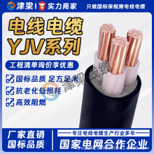 ���˹��SYJV��늘���|��3о6/10ƽ��늾��~о������ȼ�����Դ��