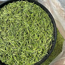 2026�²� ѿ��ѿ�P�;G��ȸ�� ë��ײ� �G���� ԭ�a��؛Դ ɢ�b