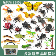 仿真昆蟲模型蝴蝶七星瓢蟲獨角仙蜜蜂蝴蝶螞蚱兒童玩具認知教具