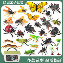 シミュレーション昆虫モデル蝶七星瓢箪虫カブトムシミツバチ蝶バッタ子供玩具認知教具
