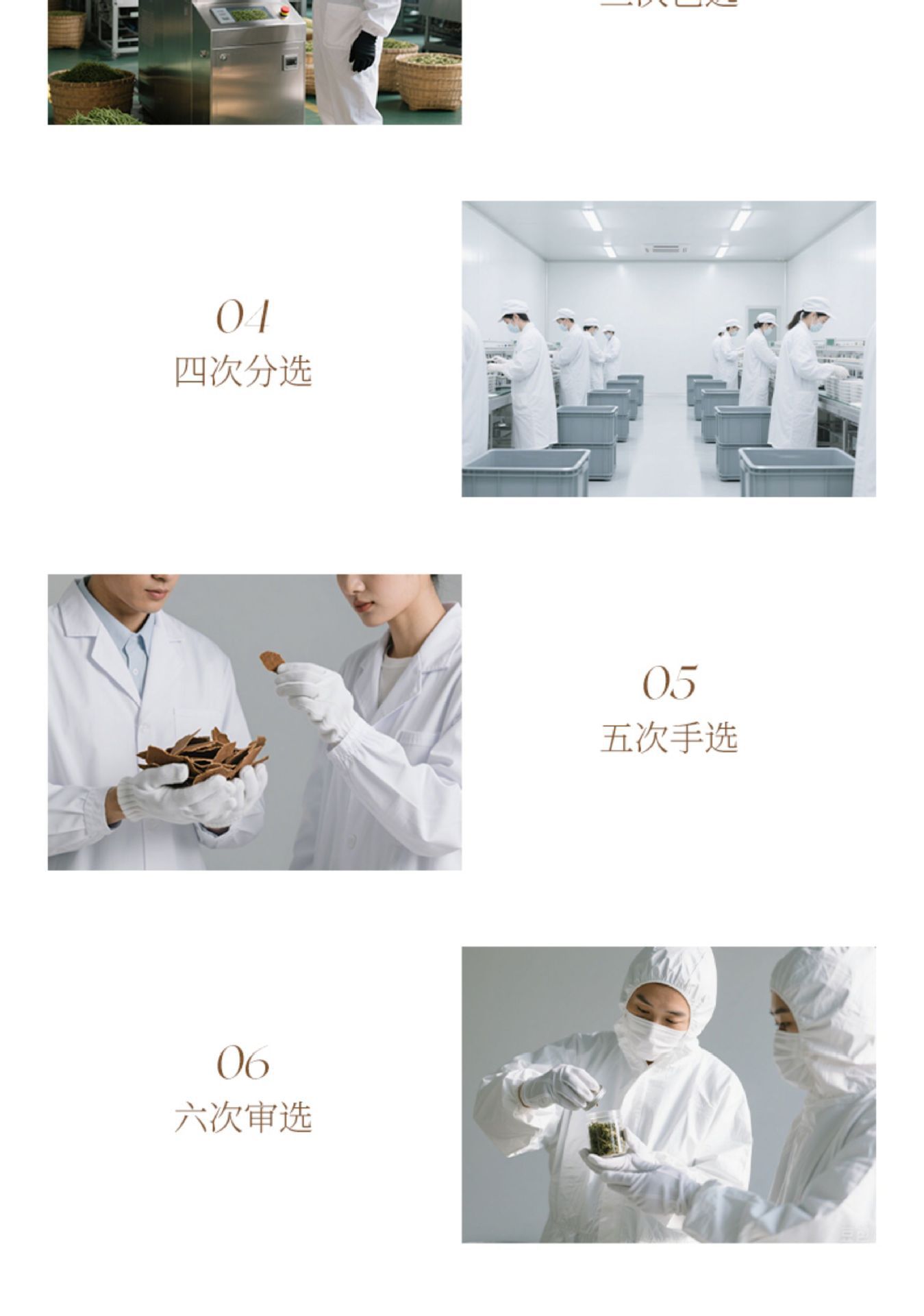 Yuanqi Six Treasure Tea 10g x 10 Bags Astragalus Ophiopogon Codonopsis American Ginseng Daily Wellness Brew specifications