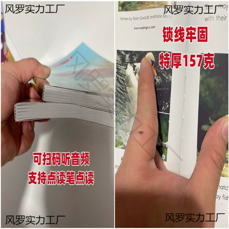 Классификация английского языка для чтения книжек с картинками reading aaa-z