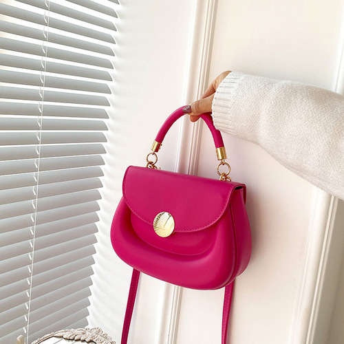 Fashionable Winter Small Handbags for Women  New Trendy Stylish Fresh Girl Single Shoulder Crossbody Bag Small Square Bag