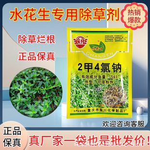 ��Ʒ���l �c��56%2��4���c������ˮ��������С������~�s�ݳ��݄�