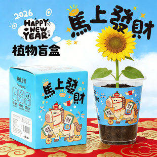 ��һ��ͯ���Y�彩��ֲ��ä�ЌW��diy��������������������Gֲ