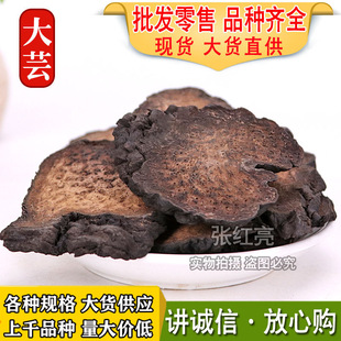 ��ɐ����ș�����l�½���ɐ�ش�ܿӲ�|ܛ�|��؛����ă���ɐ��