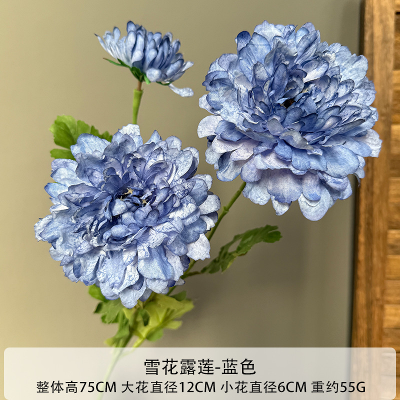 눈꽃 연꽃