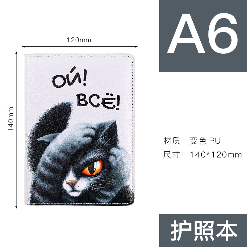 Passport Set Figure 3