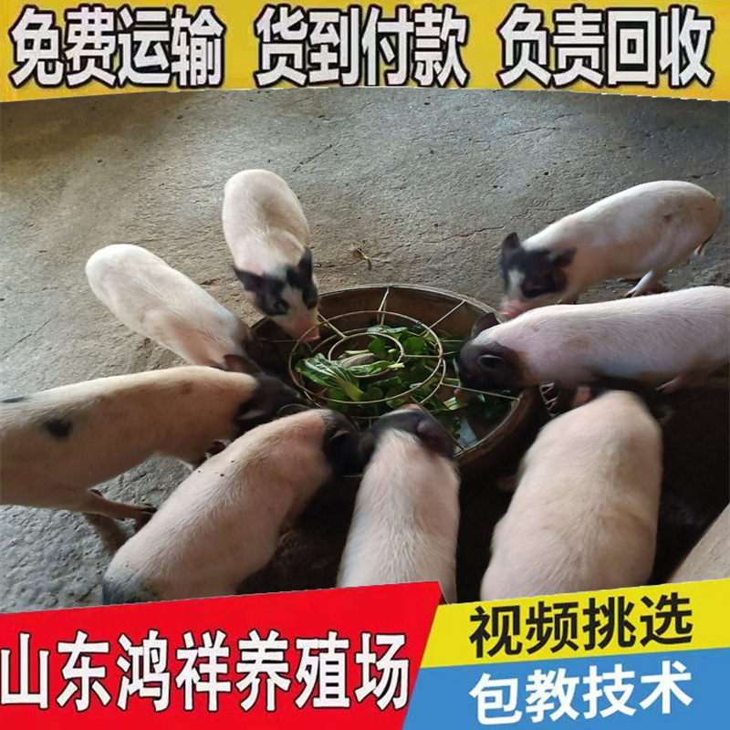 79eaf0b2f890486d807a2a6566ac50