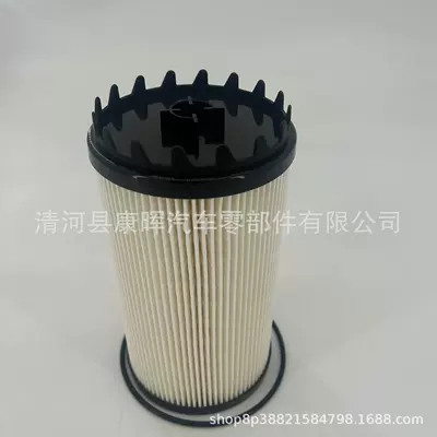 Fs20172K371029K372011Sn40868 Diesel Vehicle – Diesel filter