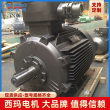 H���^��늙C YFBBP5-315L2-6A 132KW ����������׃�l�ۉm����늙C