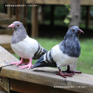 �����֮�˱��[��ģ���B�Ғ��ƽ������ë���ӻ�c���]