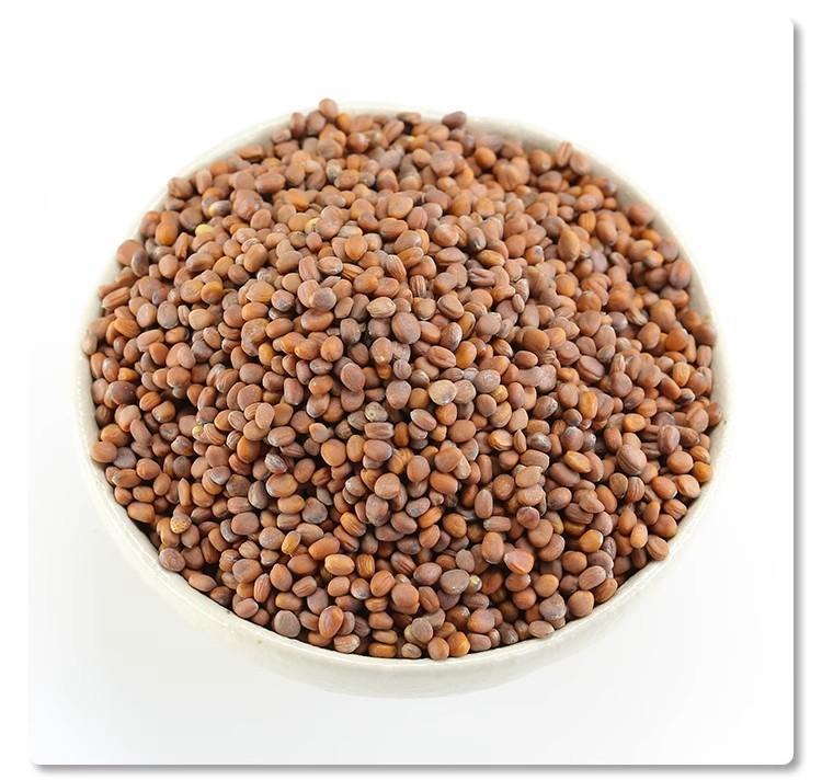 Raphanus Seed Lai Fu Zi 500g Dried Radish Seed for Tea and Decoction Raw Chinese Herb specifications