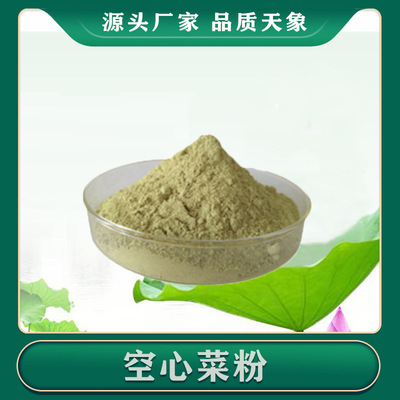 空心菜粉99% 空心菜提取物 空心菜浸膏 一件起售 厂家供应|ms