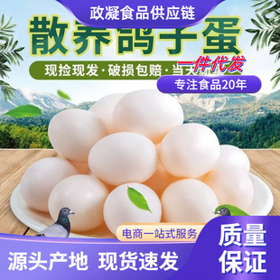 �����r��ɢ�B���ӵ� ���l30ö�I�B������r���������oʳ�����u��