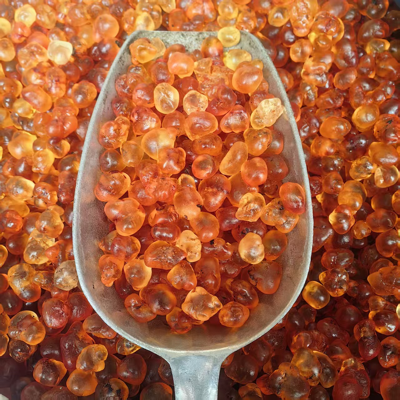 Large Granule Peach Gum Tao Jiao Dried Resin 500g Natural Culinary Herbal Ingredient quality and texture