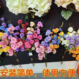 �r��չ������ë�֟o�����廨���ٻ��ռ{��������չʾ���ڒ�廨��