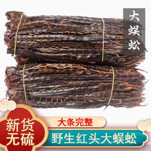 热卖正品蜈蚣干蜈蚣100g整条无竹签红头千足蜈蚣肉蜈公皮蜈蚣粉