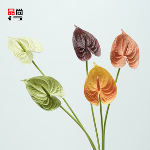 PU�ָмt�ƻ��Q�Ʒ��滨���ƻ�c�����zӰ����ܛ�b�廨�b�ֱ�N