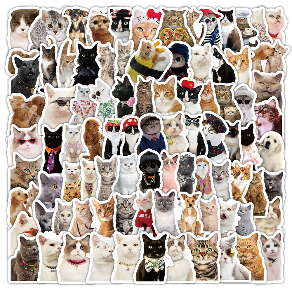 1 Set Dog Cat Learning PVC Self-adhesive Cute Stickers display picture 11