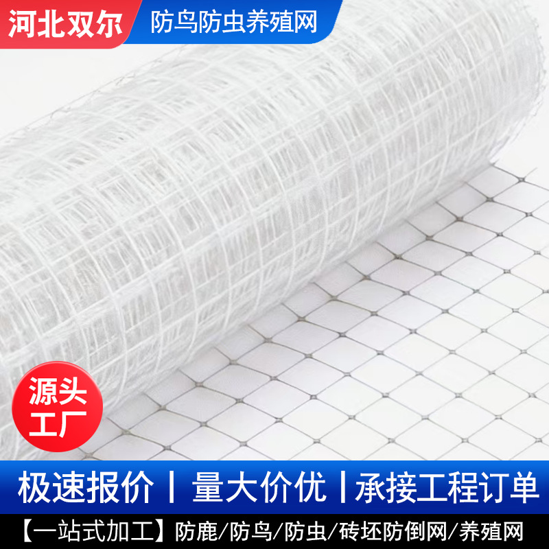 双向拉伸塑料网聚丙烯网蔬菜果园防鸟网防虫网林园塑料双拉网